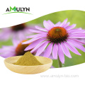 Natural Echinacea Angustifolia Purpurea Root Extract Powder